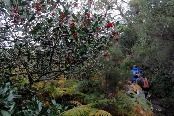 Foto 63 da atividade Galeria de Fotos