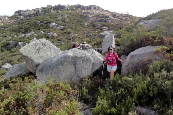 Foto 42 da atividade Galeria de Fotos