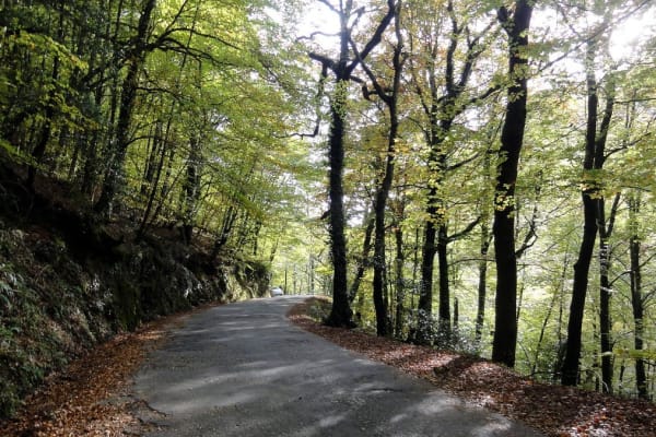 Foto 44 da atividade Galeria de Fotos