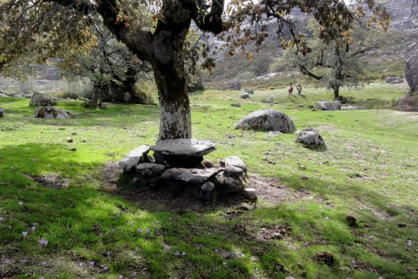 Foto 23 da atividade Galeria de Fotos