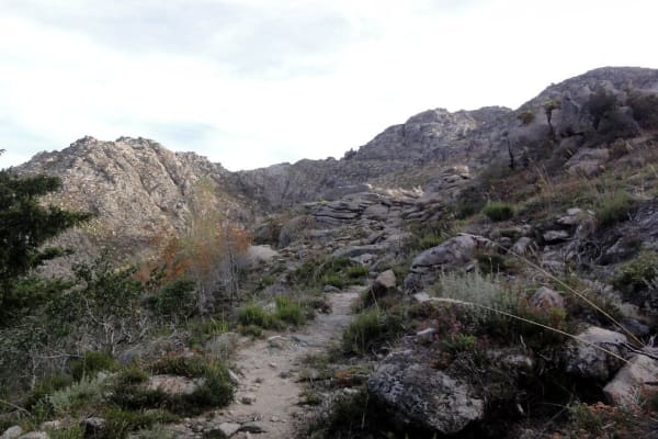 Foto 5 da atividade Galeria de Fotos