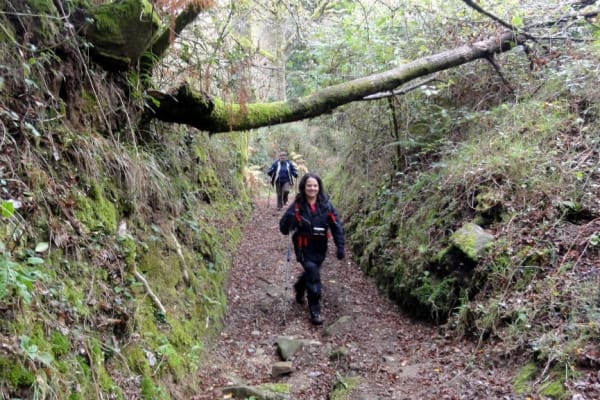 Foto 91 da atividade Galeria de Fotos