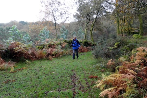 Foto 90 da atividade Galeria de Fotos