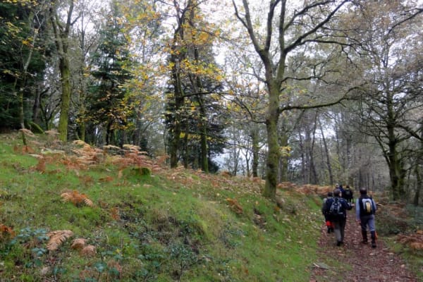 Foto 87 da atividade Galeria de Fotos