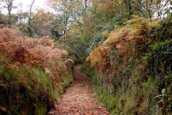 Foto 84 da atividade Galeria de Fotos