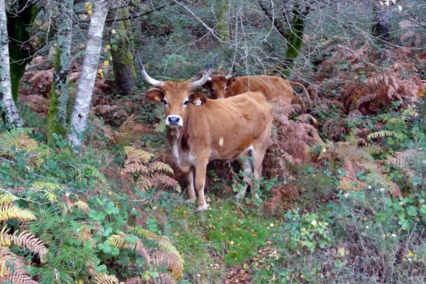 Foto 82 da atividade Galeria de Fotos