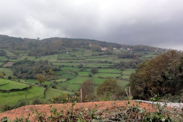 Foto 72 da atividade Galeria de Fotos