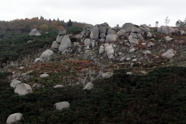 Foto 54 da atividade Galeria de Fotos