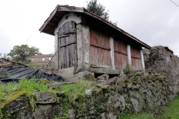 Foto 46 da atividade Galeria de Fotos