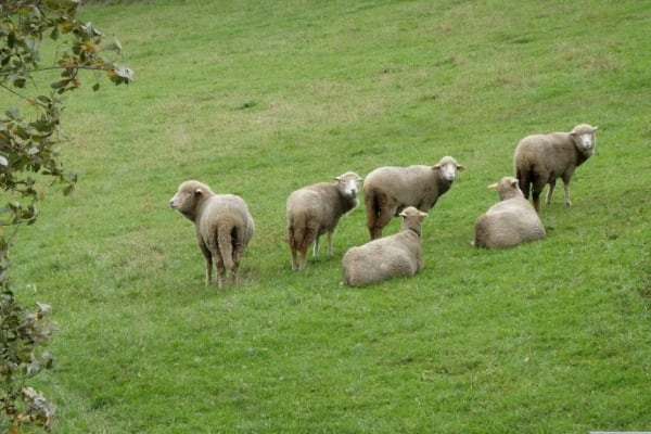 Foto 25 da atividade Galeria de Fotos