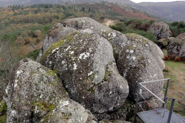 Foto 18 da atividade Galeria de Fotos