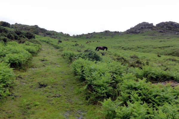 Foto 85 da atividade Galeria de Fotos