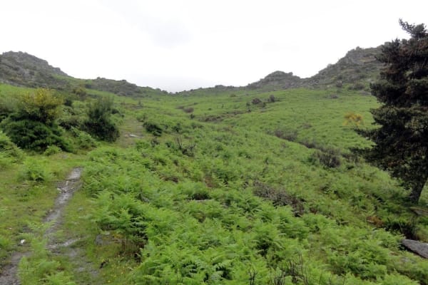 Foto 82 da atividade Galeria de Fotos