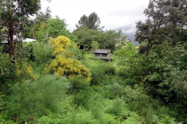 Foto 72 da atividade Galeria de Fotos