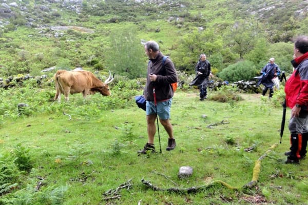 Foto 56 da atividade Galeria de Fotos