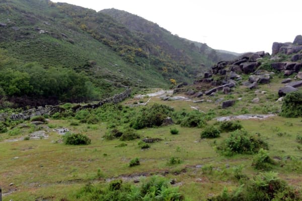 Foto 40 da atividade Galeria de Fotos