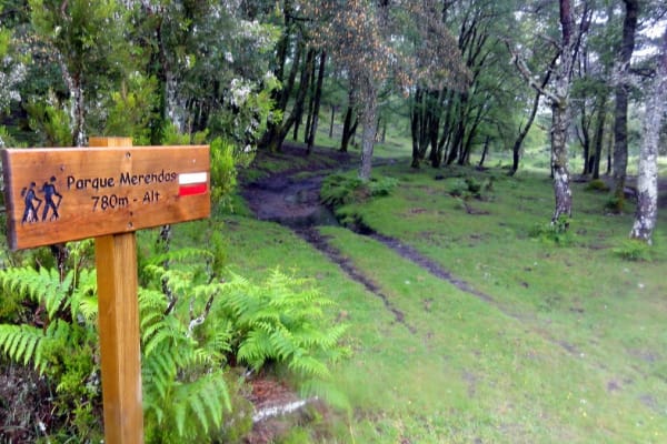 Foto 37 da atividade Galeria de Fotos