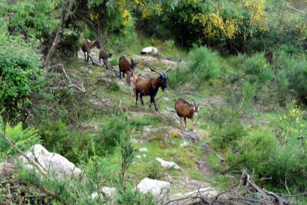 Foto 21 da atividade Galeria de Fotos