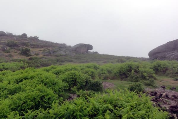 Foto 11 da atividade Galeria de Fotos