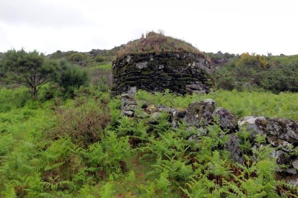 Foto 7 da atividade Galeria de Fotos