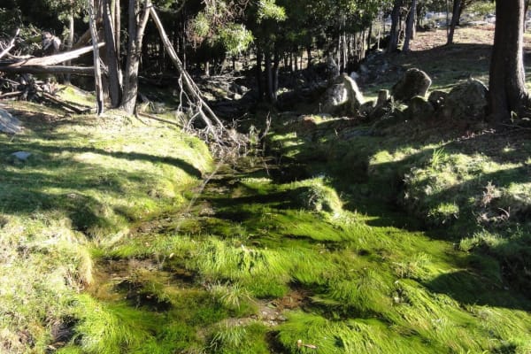 Foto 84 da atividade Galeria de Fotos