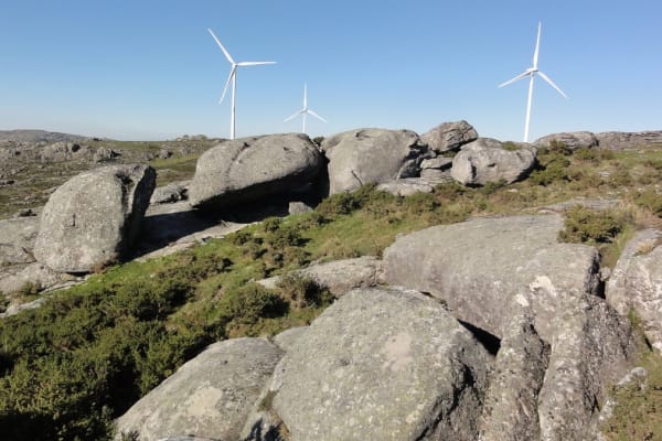 Foto 61 da atividade Galeria de Fotos