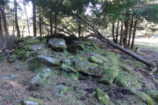 Foto 27 da atividade Galeria de Fotos