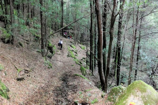 Foto 22 da atividade Galeria de Fotos