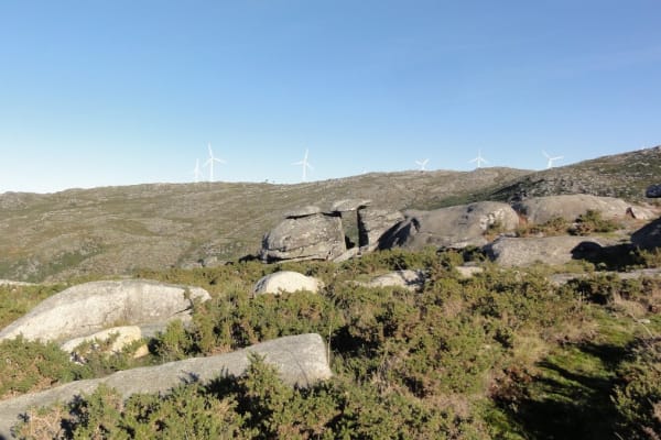 Foto 3 da atividade Galeria de Fotos