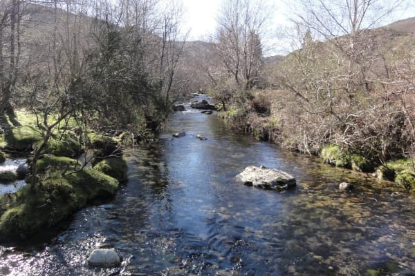 Foto 82 da atividade Galeria de Fotos