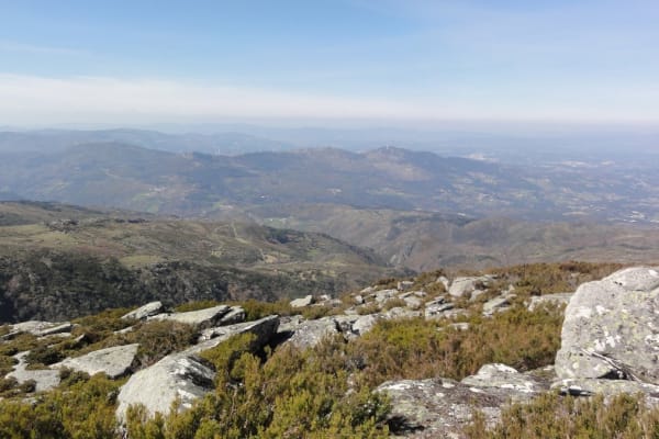 Foto 67 da atividade Galeria de Fotos