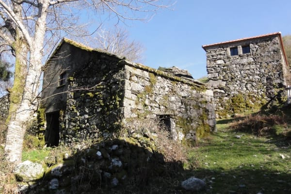 Foto 20 da atividade Galeria de Fotos