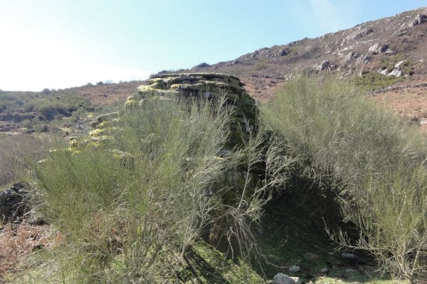 Foto 2 da atividade Galeria de Fotos