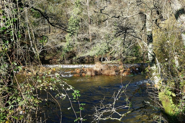 Foto 95 da atividade Galeria de Fotos