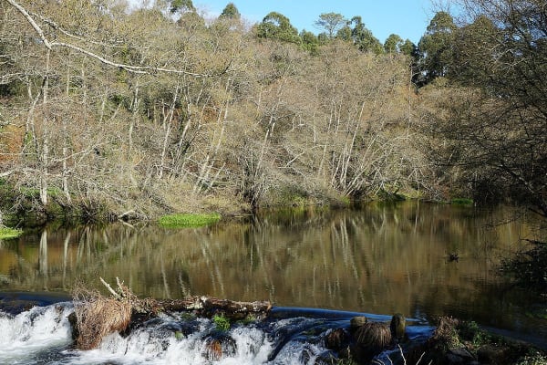 Foto 84 da atividade Galeria de Fotos