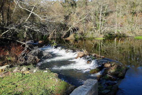 Foto 64 da atividade Galeria de Fotos