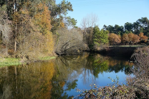 Foto 50 da atividade Galeria de Fotos