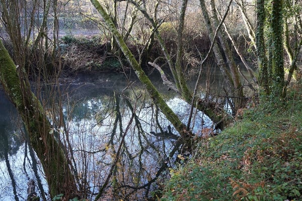 Foto 48 da atividade Galeria de Fotos