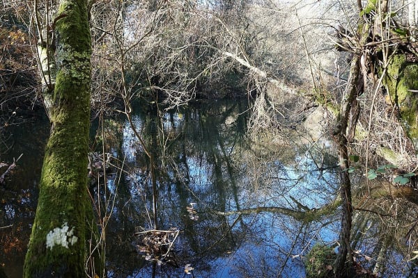 Foto 26 da atividade Galeria de Fotos