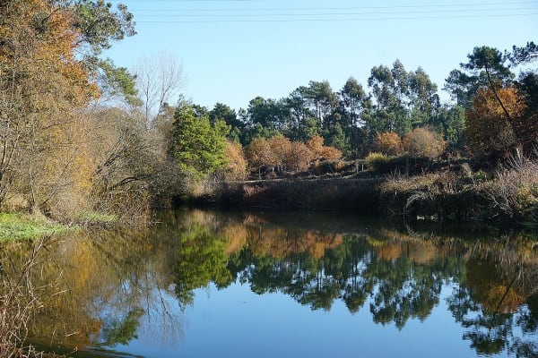 Foto 23 da atividade Galeria de Fotos