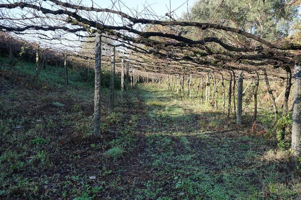 Foto 18 da atividade Galeria de Fotos