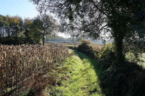 Foto 16 da atividade Galeria de Fotos