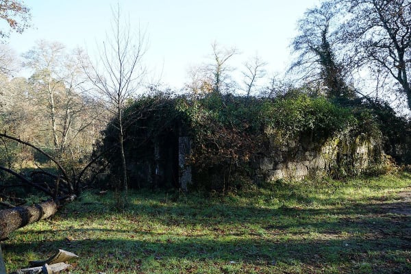 Foto 10 da atividade Galeria de Fotos