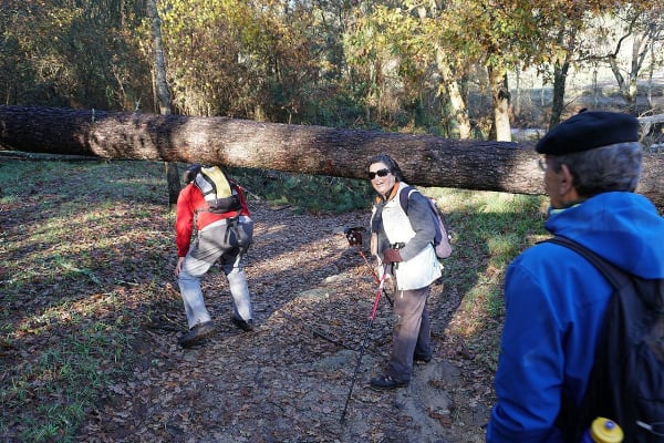 Foto 5 da atividade Galeria de Fotos