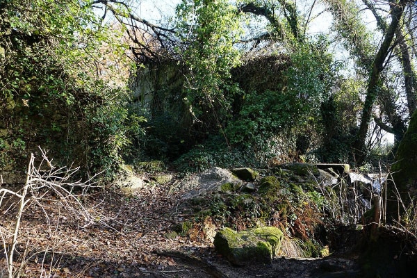 Foto 6 da atividade Galeria de Fotos