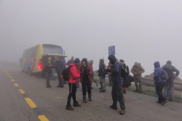 Foto 111 da atividade Galeria de Fotos