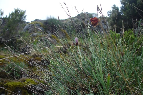 Foto 105 da atividade Galeria de Fotos