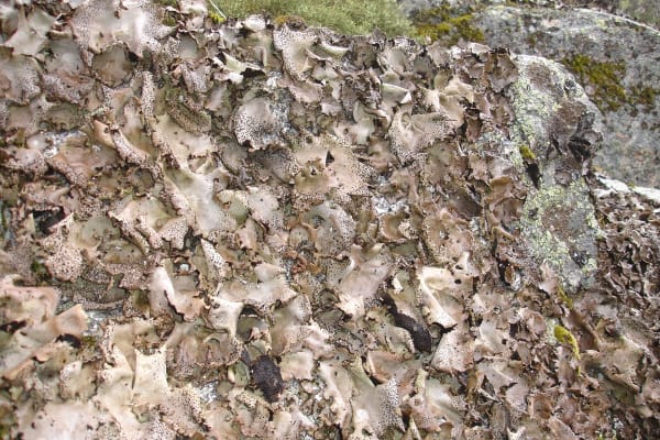 Foto 104 da atividade Galeria de Fotos