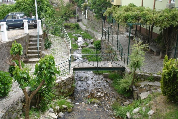 Foto 67 da atividade Galeria de Fotos