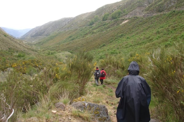 Foto 65 da atividade Galeria de Fotos